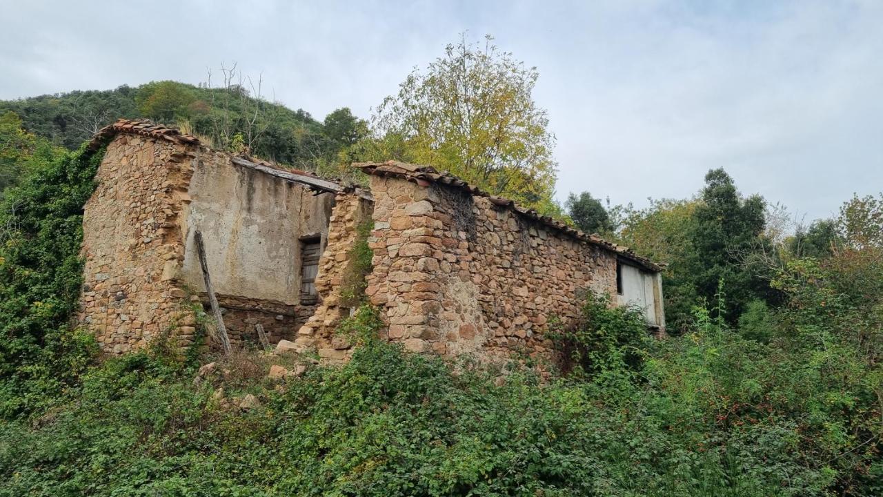 Vila Ca La Pauleta Sant Hilari Sacalm Exteriér fotografie