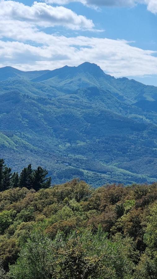 Vila Ca La Pauleta Sant Hilari Sacalm Exteriér fotografie