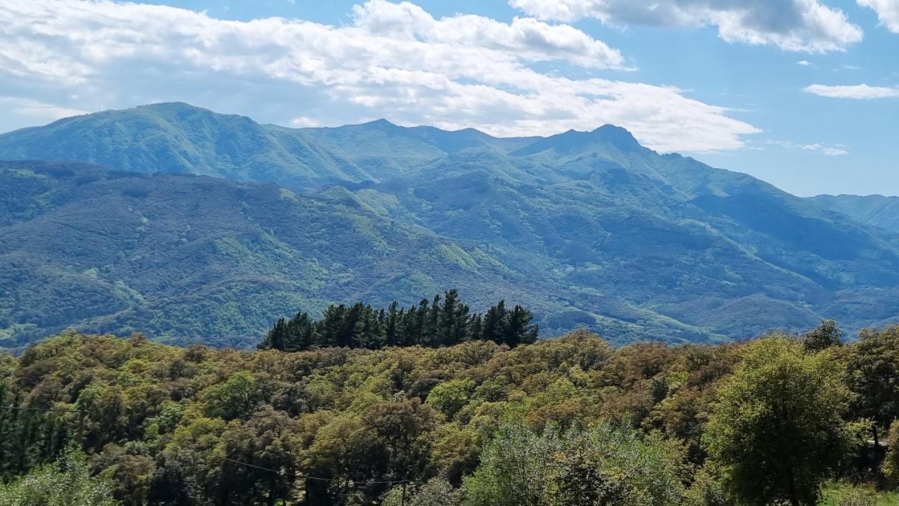 Vila Ca La Pauleta Sant Hilari Sacalm Exteriér fotografie