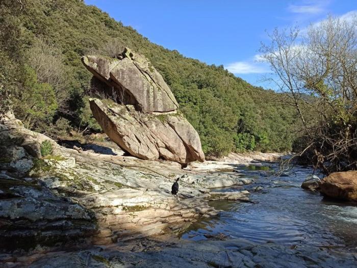 Vila Ca La Pauleta Sant Hilari Sacalm Exteriér fotografie