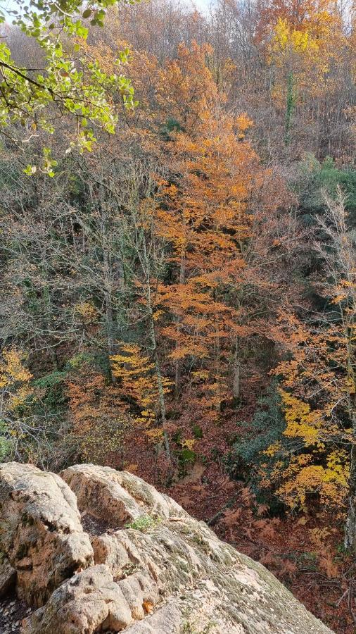 Vila Ca La Pauleta Sant Hilari Sacalm Exteriér fotografie