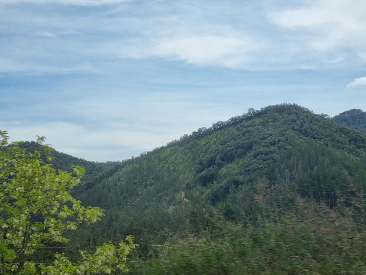 Vila Ca La Pauleta Sant Hilari Sacalm Exteriér fotografie